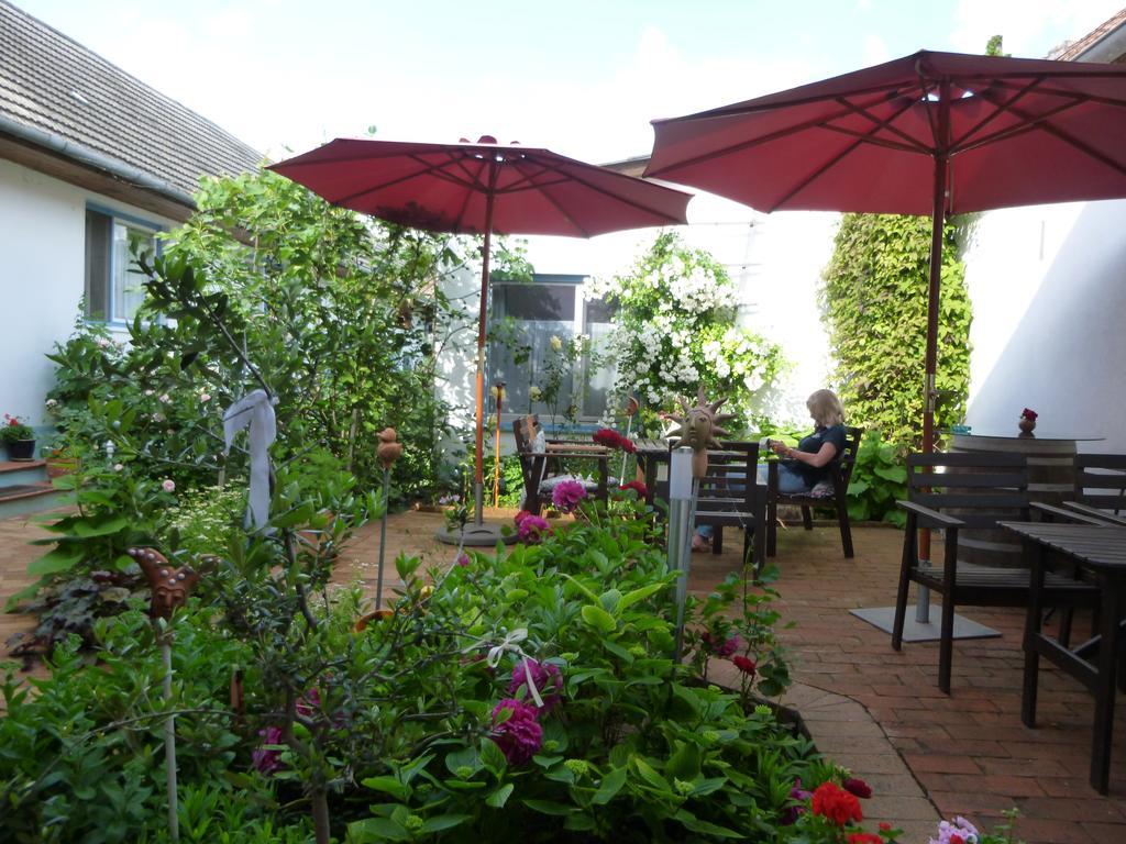 Stieglerhof Kg -apartments Illmitz- Apartment Illmitz