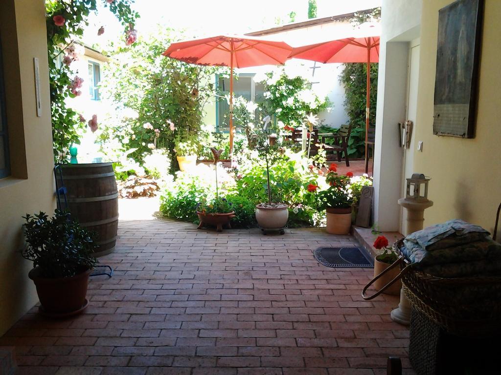 Stieglerhof Kg -apartments Illmitz- Apartment Illmitz
